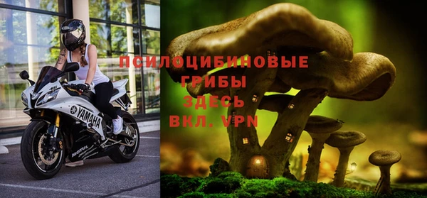 ALPHA PVP Балахна