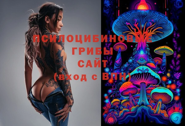 тгк Переславль-Залесский