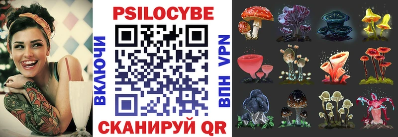 что такое   Покачи  Псилоцибиновые грибы Psilocybe 